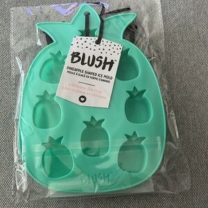 Blush Pineapple Shaped Ice Mold